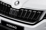 Skoda Kodiaq 2016 года (WW)